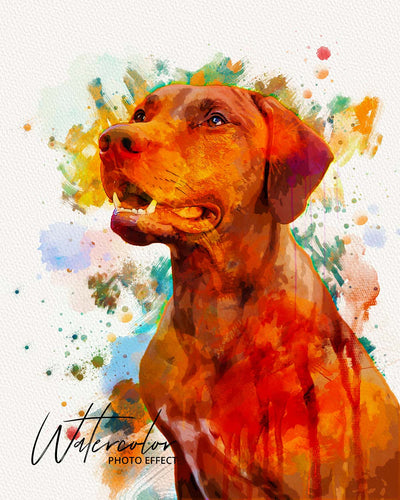 30 Custom Watercolor Pet Portrait Photo Effects Bundle - Artixty