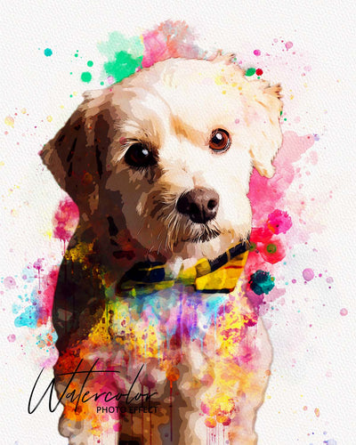 30 Custom Watercolor Pet Portrait Photo Effects Bundle - Artixty