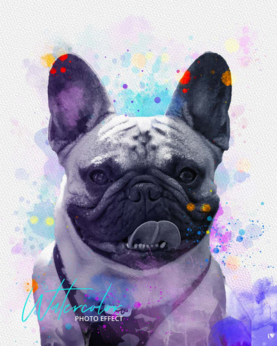 30 Custom Watercolor Pet Portrait Photo Effects Bundle - Artixty