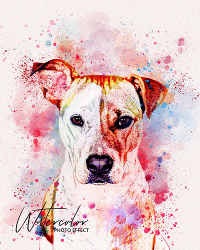 30 Custom Watercolor Pet Portrait Photo Effects Bundle - Artixty