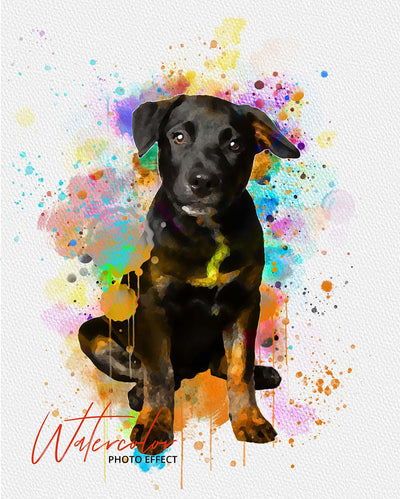 30 Custom Watercolor Pet Portrait Photo Effects Bundle - Artixty