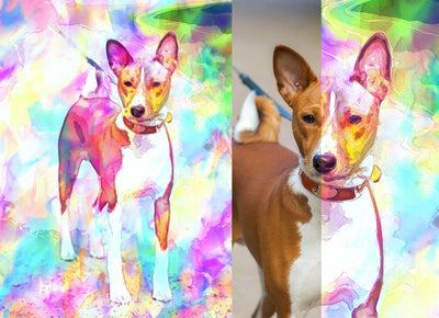 23 Professional Dual Art Photo Effects Bundle