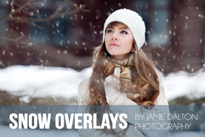 The Nifty Cards and Overlays Bundle - Artixty