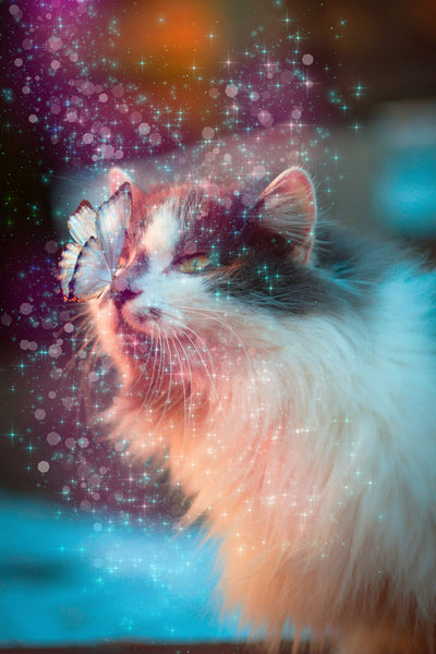 The Professional Bundle Of 15 Photoshop Actions