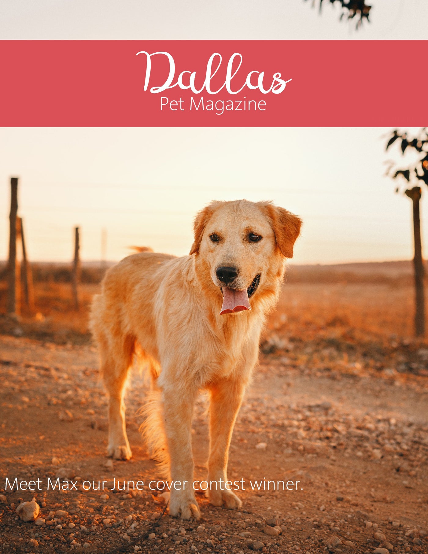 The Complete Pet Photography Collection-Learning-Artixty