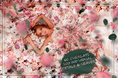 The Dreamy Nature Overlays Bundle - 9500+ Resources-Graphics-Artixty