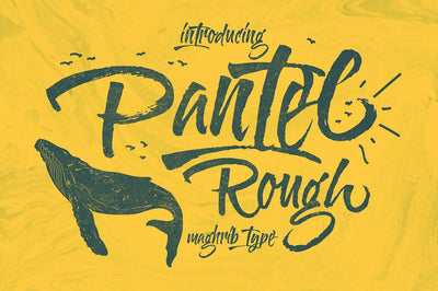 The Mega Font Bundle - 60+ Gorgeous Fonts - Artixty