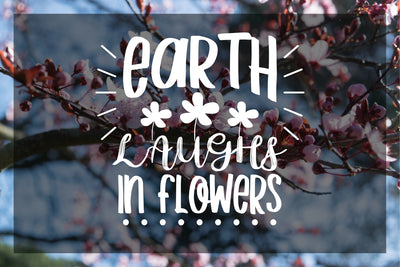 The Awesome Quotes Design Bundle - 600+ Designs-Graphics-Artixty