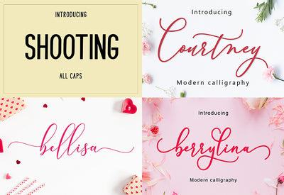The Swirly Bundle Of Fonts and Presentation Templates - Artixty
