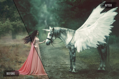 The 8000+ Wonderful LUTs Bundle-Add-Ons-Artixty