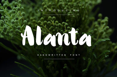 Playful Font Bundle - 4 Classy Fonts - Artixty
