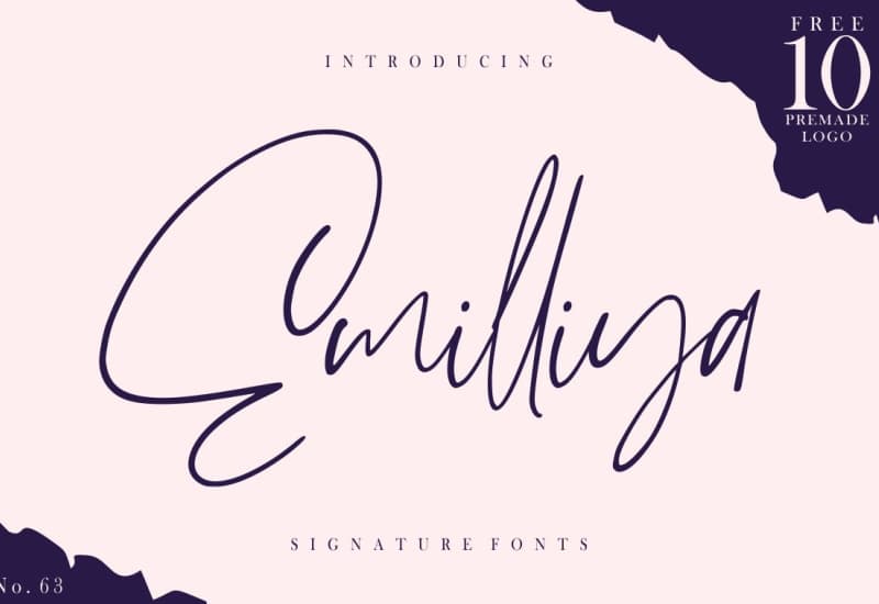 The Signature Font Bundle - 36 Professional Fonts - Artixty