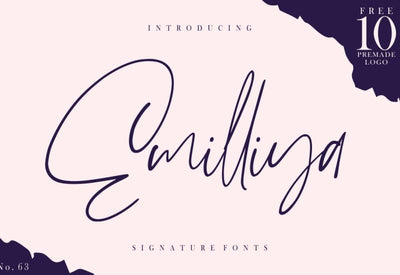 The Signature Font Bundle - 36 Professional Fonts - Artixty