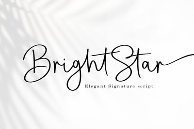 The Swashy Font Bundle - 54 Fonts - Artixty