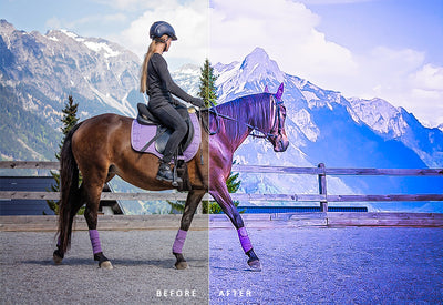 1000+ Extravagant Lightroom Presets Bundle-Add-Ons-Artixty