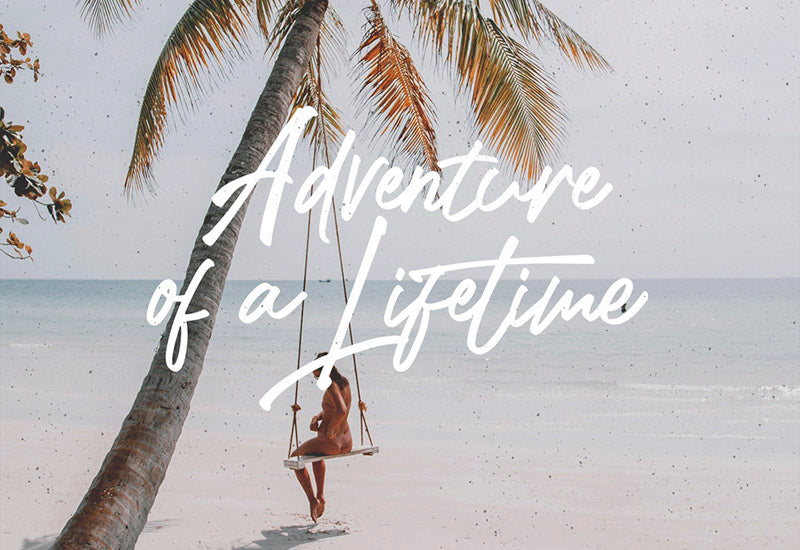 The Massive Vintage Font Bundle - 15 Fonts - Artixty