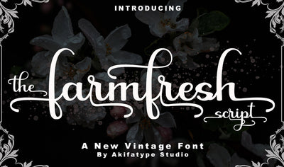 Hand-Lettered Font Bundle - 17 Romantic Script Fonts - Artixty