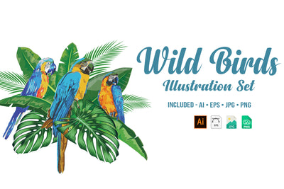1090 Prestigious Watercolor Illustrations Bundle-Graphics-Artixty