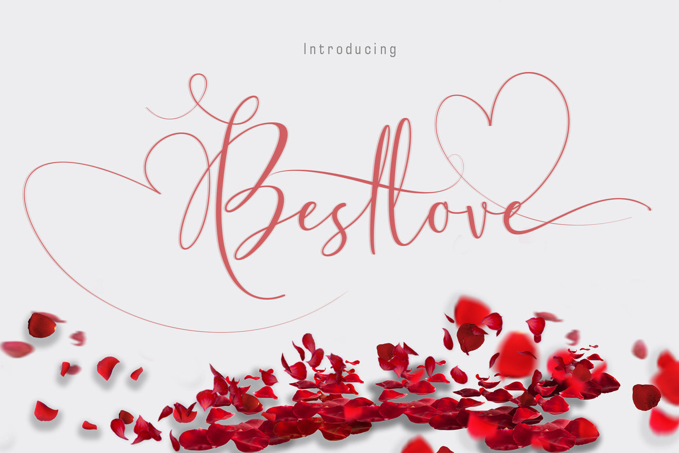 The Swashy Font Bundle - 54 Fonts - Artixty