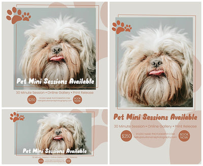 The Complete Pet Photography Collection-Learning-Artixty