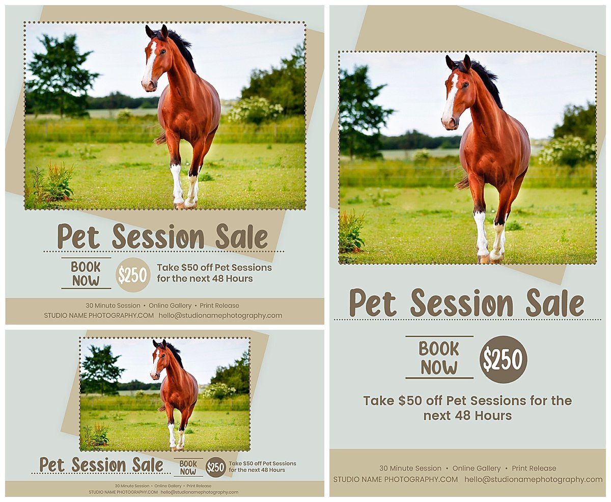 The Complete Pet Photography Collection-Learning-Artixty