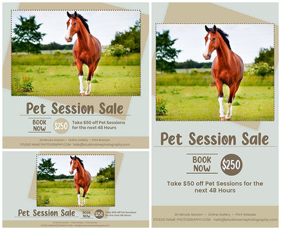 The Complete Pet Photography Collection-Learning-Artixty