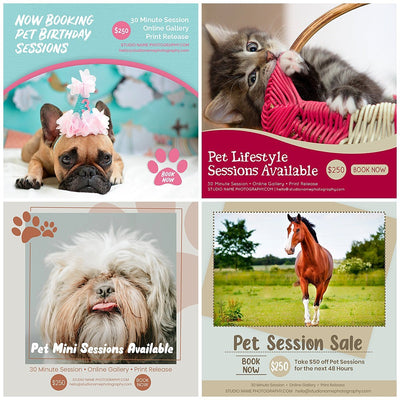 The Complete Pet Photography Collection-Learning-Artixty