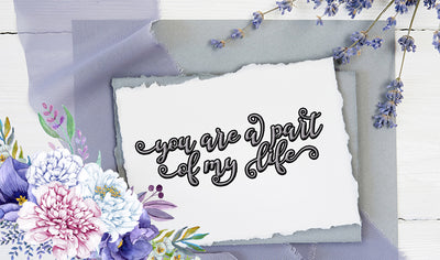 Hand-Lettered Font Bundle - 17 Romantic Script Fonts - Artixty