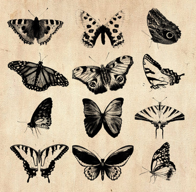 2000+ Vintage Illustrations Bundle-Graphics-Artixty