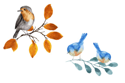1090 Prestigious Watercolor Illustrations Bundle-Graphics-Artixty