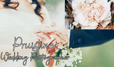 Hand-Lettered Font Bundle - 17 Romantic Script Fonts - Artixty
