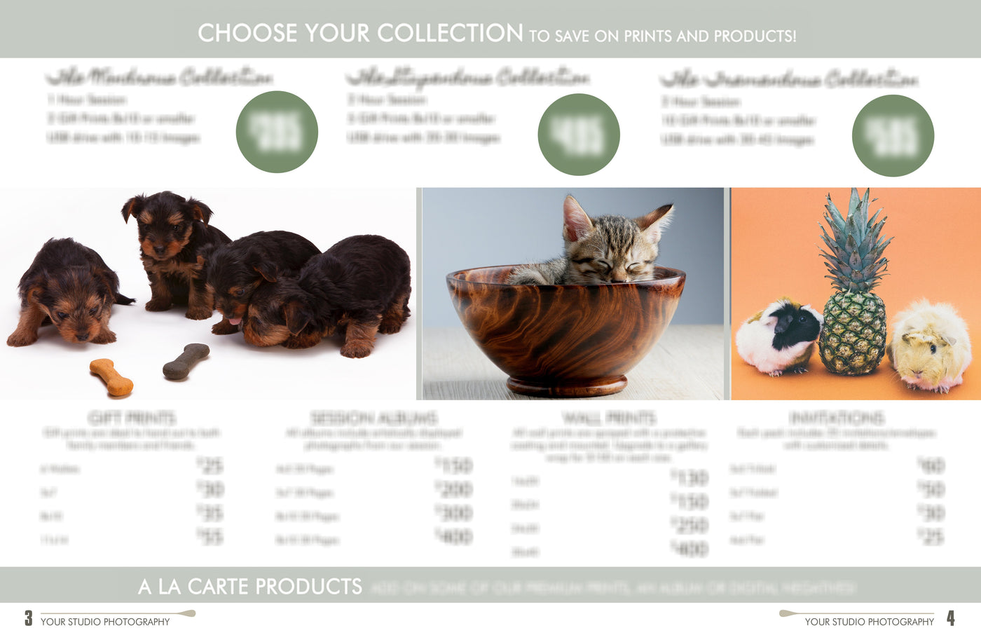 The Complete Pet Photography Collection-Learning-Artixty