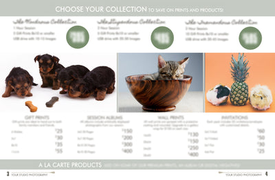 The Complete Pet Photography Collection-Learning-Artixty