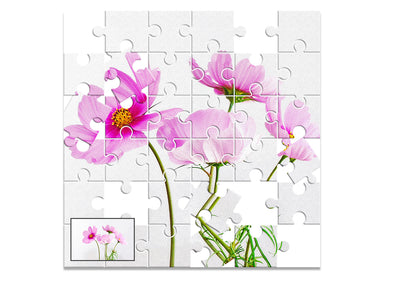 The Exquisite Bundle Of 15 Photoshop Actions - Artixty
