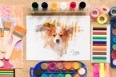 The Professional Bundle Of 15 Photoshop Actions