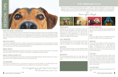 The Complete Pet Photography Collection-Learning-Artixty