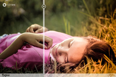 The Ultimate Lightroom Preset Bundle By Sleeklens - Artixty