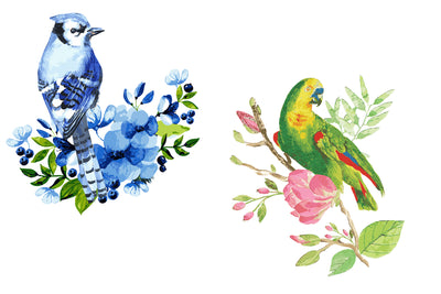 1090 Prestigious Watercolor Illustrations Bundle-Graphics-Artixty
