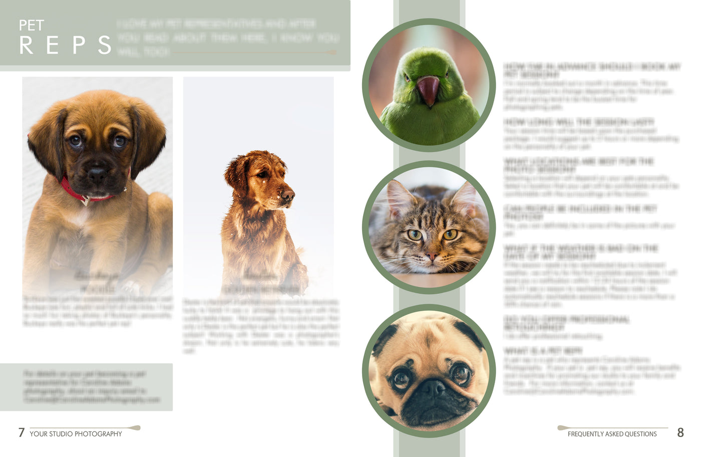 The Complete Pet Photography Collection-Learning-Artixty