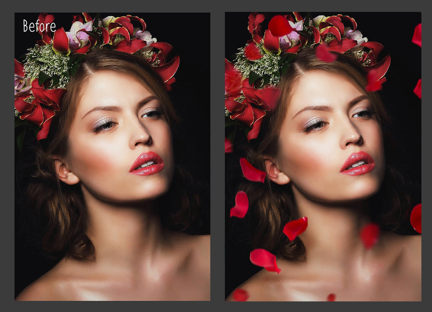 2000+ Mega Photo Overlays Bundle - Artixty
