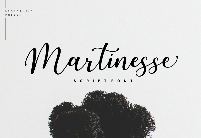 5 Beautiful Script & Calligraphy Fonts Bundle - Artixty