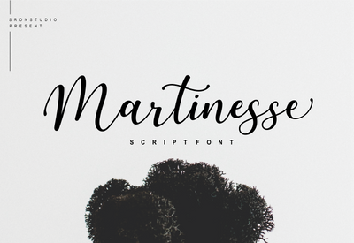 5 Beautiful Script & Calligraphy Fonts Bundle - Artixty
