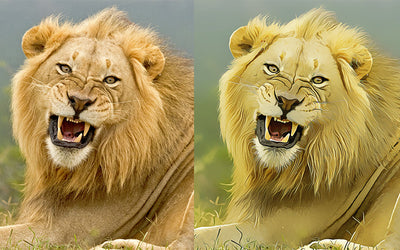 Digital Oil Art Photoshop Actions
