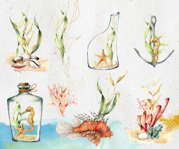 Ocean Soul Watercolor Graphic Collection - Artixty