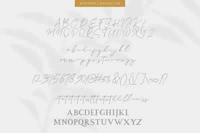 Modern Vintage Fonts Bundle - 32 Display Fonts - Artixty