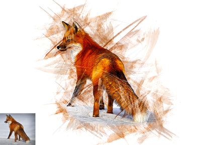 15-In-1 Drawing Effect Photoshop Actions Bundle - Artixty