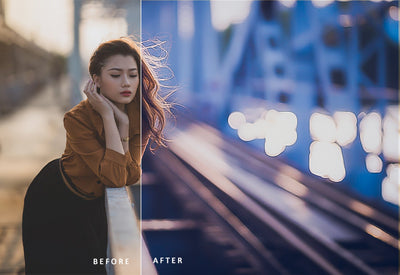 1000+ Extravagant Lightroom Presets Bundle-Add-Ons-Artixty