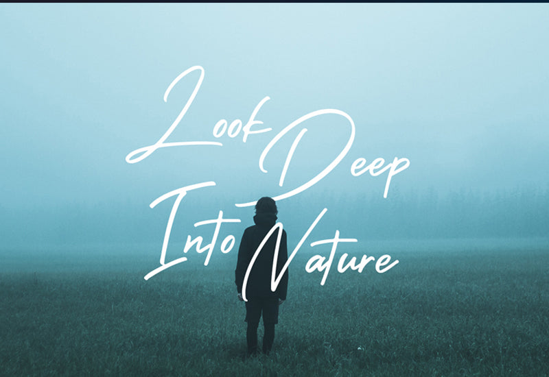 The Massive Bundle Of 46 Beautiful Fonts - Artixty