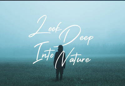 The Massive Bundle Of 46 Beautiful Fonts - Artixty