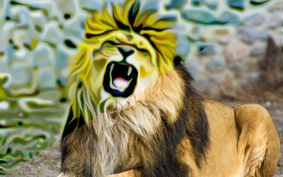 Digital Oil Art Photoshop Actions